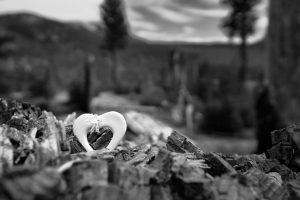 Heart figurine on a fallen tree in the woods.
